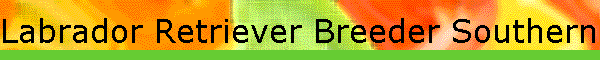 Labrador Retriever Breeder Southern California Puppies for sale,  A.K.C. and O.F.A. Certified dogs, Chocolate Labrador Puppy Breeder, Yellow Labrador Puppy Breeder. Specializing in configuration, temperament, trainability for pets and hunting companions w